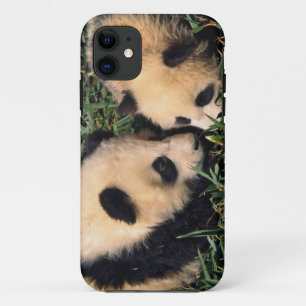 Coques Pour iPhone Deux oursons panda dans le buisson de bambou, Wolo
