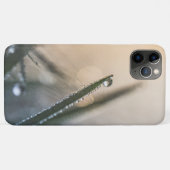 Coques Case-Mate iPhone Dew Droplet sur l'herbe Nature Photo (Dos (Horizontal))