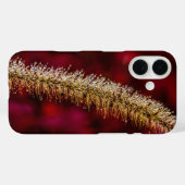 Coques Case-Mate iPhone Dew du matin (Verso (horizontal))