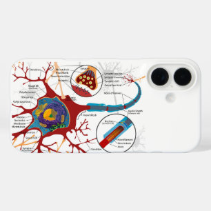 Coques iPhone 16 Diagramme Neurone Complet Cellule Nerf Système Ner