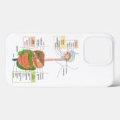 Coques Case-Mate iPhone Diagramme Système digestif gastro-intestinal humai (Verso (horizontal))