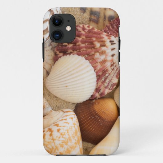 Coques Case-Mate iPhone Disposition de coquillage (Dos)