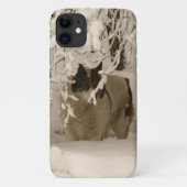 Coques Case-Mate iPhone Dog (Dos)