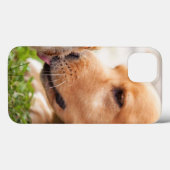 Coques Case-Mate iPhone Dog and Chick (Verso (horizontal))
