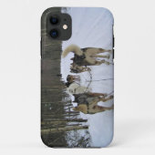 Coques Case-Mate iPhone Dog Sledding à Québec, Canada (Dos)