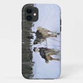 Coques Case-Mate iPhone Dog Sledding à Québec, Canada (Dos)