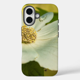 Coques iPhone 16 Dogwood