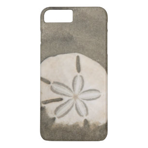 Etui iPhone Case-Mate Dollar de sable (Echinarachnius parma)