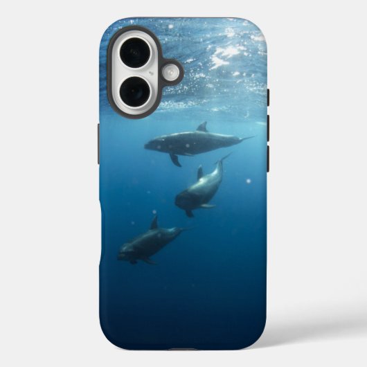 Coques Case-Mate iPhone Dolphin Family (Verso)