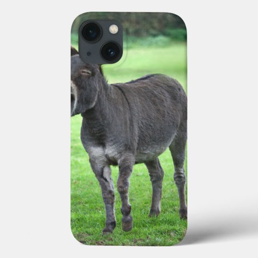 Coques Case-Mate iPhone Donkey Laugh iPad Mini Case (Verso)