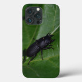Coques Case-Mate iPhone Dorcus parallelipipedus, le moindre dendroctone du (Verso)