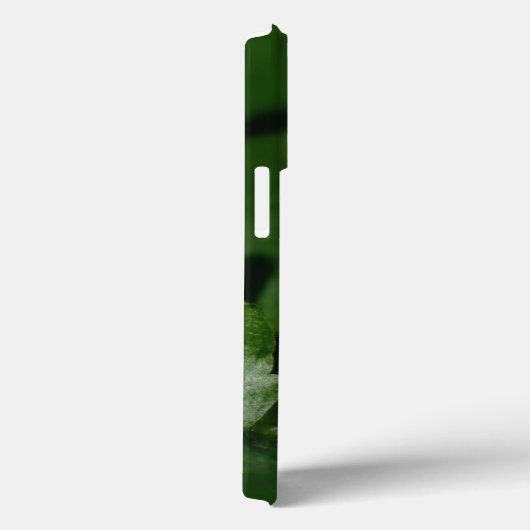 Coques Case-Mate iPhone Dorcus parallelipipedus, le moindre dendroctone du (Verso / Droite)