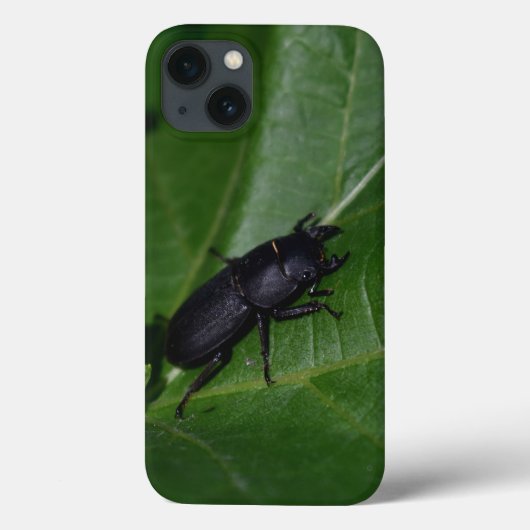 Coques Case-Mate iPhone Dorcus parallelipipedus, le moindre dendroctone du (Verso)