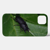 Coques Case-Mate iPhone Dorcus parallelipipedus, le moindre dendroctone du (Verso (horizontal))