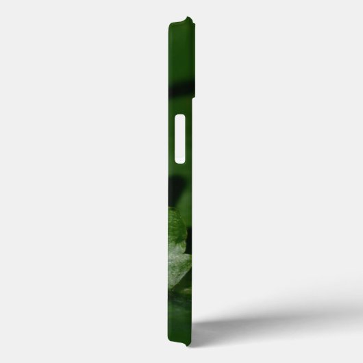 Coques Case-Mate iPhone Dorcus parallelipipedus, le moindre dendroctone du (Verso / Droite)