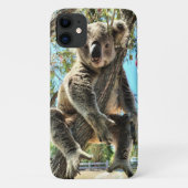 Coques Case-Mate iPhone Dossier téléphonique Koala (Dos)