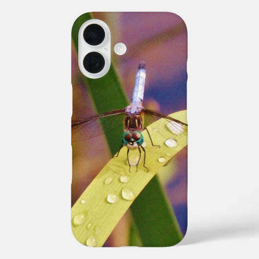 Coques Case-Mate iPhone Dragonfly sur la feuille de pluie (Verso)