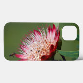 Coques Case-Mate iPhone Drakensberg Sugarbush (Protea Dracomontana) (Verso (horizontal))