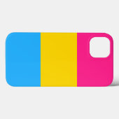 Coques Case-Mate iPhone Drapeau de fierté Pansexual LGBTQ (Verso (horizontal))