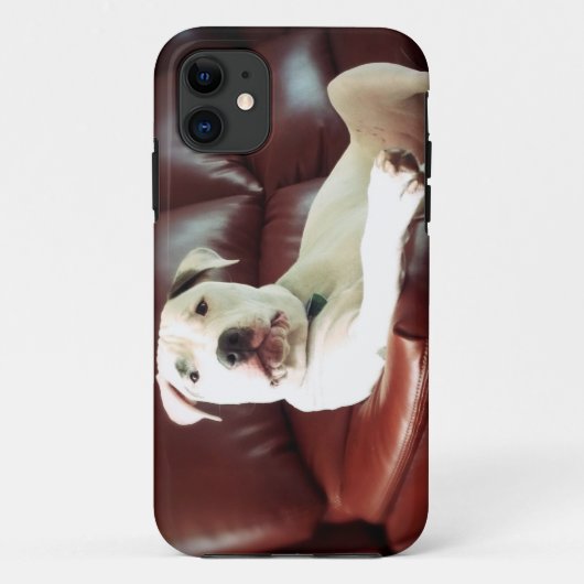 Coques Case-Mate iPhone drôle de pit bull chien sur le canapé (Dos)