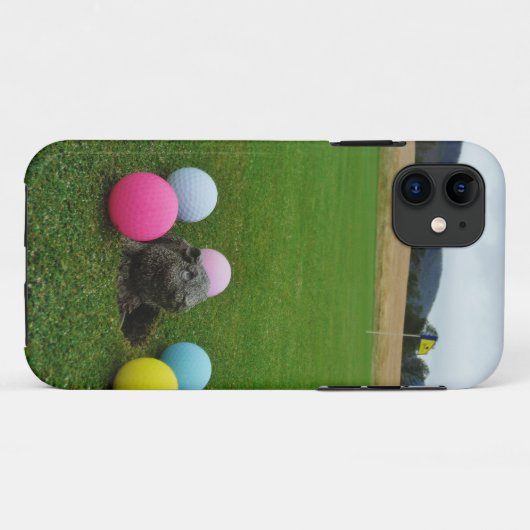 COQUES Case-Mate iPhone DSCF0692.JPG (Dos (Horizontal))