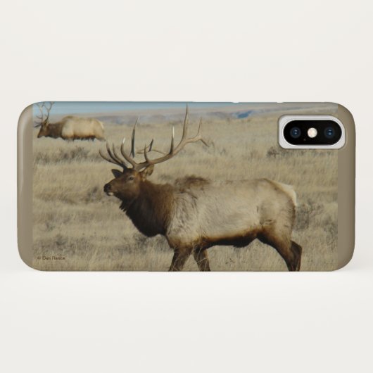 Coques Case-Mate iPhone E55 Bull Elk Big Bull (Dos (Horizontal))