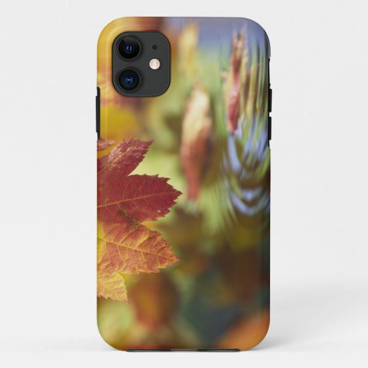 Coques Case-Mate iPhone É.-U., Washington, Bellingham, Gros plan sur l'aut (Dos)