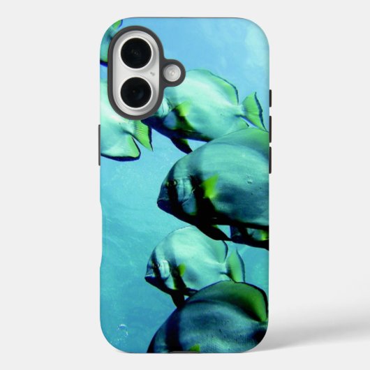 Coques Case-Mate iPhone Eau claire et limpide (Verso)