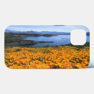 Case-Mate iPhone Case Eau   Lac California Avec Des Pépites D'Or