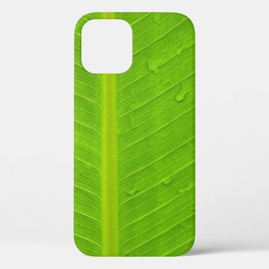 Coques Case-Mate iPhone Eau verte à la feuille (Verso)