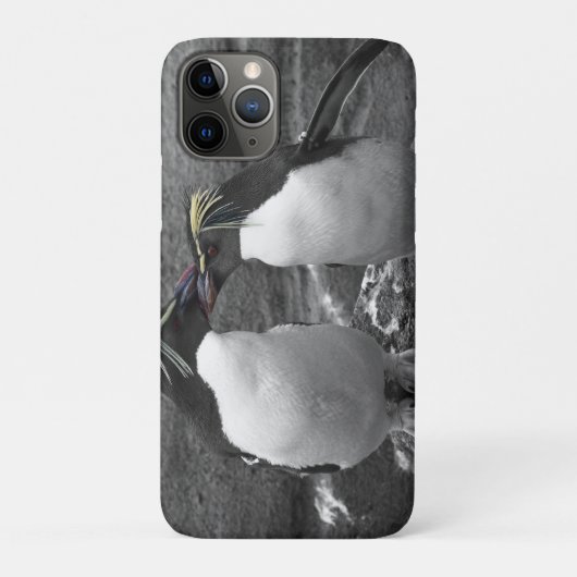 Coques Case-Mate iPhone Éclaboussure de couleur de pingouin (Dos)