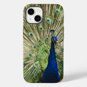 Coques Case-Mate iPhone Écran Peacock (Verso)