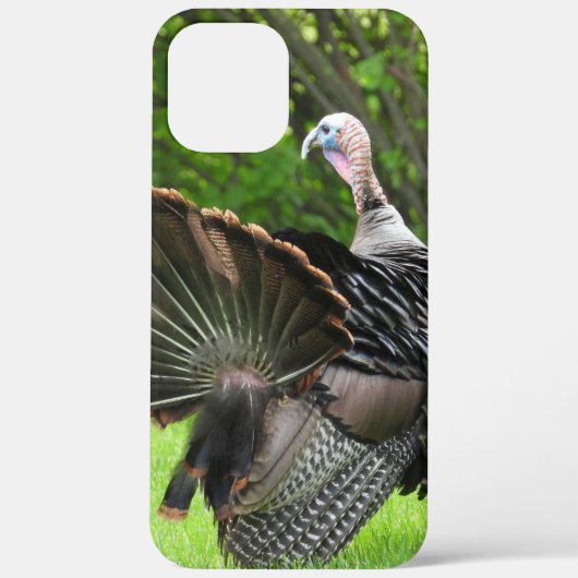 Coques Case-Mate iPhone Écran Tom Turquie (Verso)