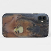 Coques Case-Mate iPhone Écureuil (Dos (Horizontal))
