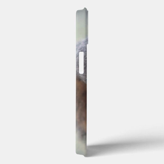 Coques Case-Mate iPhone Écureuil (Verso / Droite)