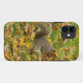 Coques Case-Mate iPhone Écureuil (Dos (Horizontal))