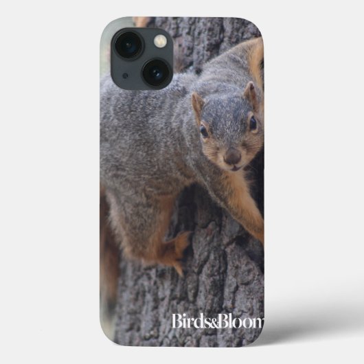 Coques Case-Mate iPhone Écureuil (Verso)