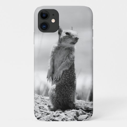 Coques Case-Mate iPhone Écureuil (Dos)