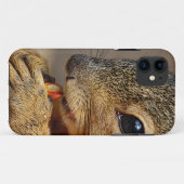 Coques Case-Mate iPhone Écureuil 5 (Dos (Horizontal))