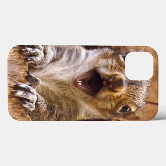 Coques Case-Mate iPhone Écureuil choqué (Verso (horizontal))