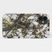 Coques Case-Mate iPhone Écureuil dans un arbre (Dos (Horizontal))