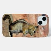 Coques Case-Mate iPhone Écureuil de sol doré (Verso (horizontal))