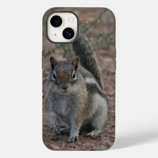 Coques Case-Mate iPhone Écureuil dur (Verso)