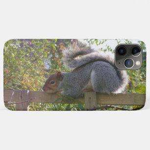 Coques Pour iPhone écureuil gris reposant photo originale de la faune