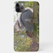 Coques Case-Mate iPhone écureuil gris reposant photo originale de la faune (Dos)