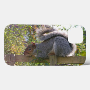 Etui iPhone Case-Mate écureuil gris reposant photo originale de la faune
