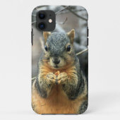 Coques Case-Mate iPhone Écureuil mangeant l'écrou (Dos)