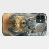 Coques Case-Mate iPhone Écureuil mangeant l'écrou (Dos (Horizontal))