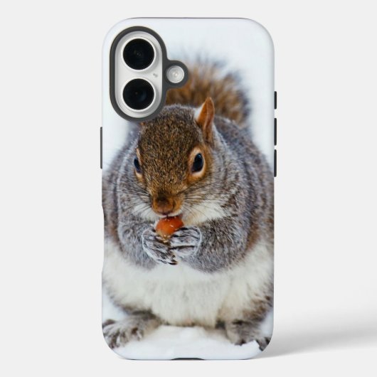 Coques Case-Mate iPhone Écureuil mangeant un écrou photo mignonne d'hiver (Verso)