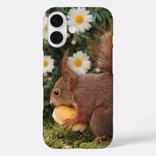 Coques iPhone 16 Écureuil roux et pâquerettes Photo mignonne